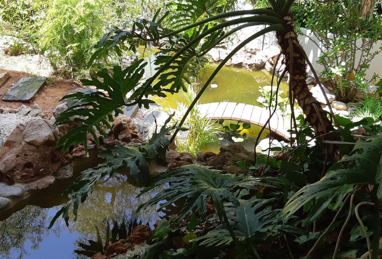 מארבלה Villa Tortuga מראה חיצוני תמונה