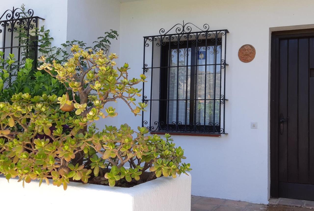 מארבלה Villa Tortuga מראה חיצוני תמונה