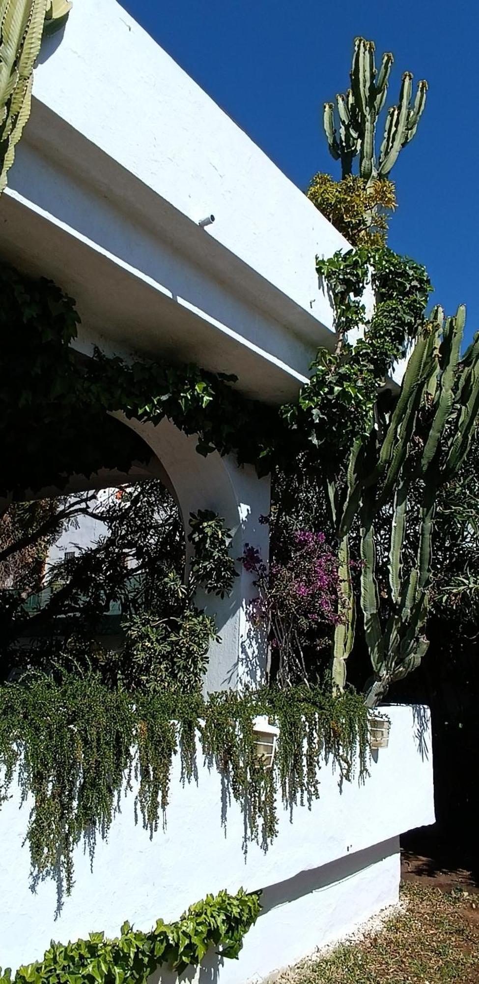 מארבלה Villa Tortuga מראה חיצוני תמונה