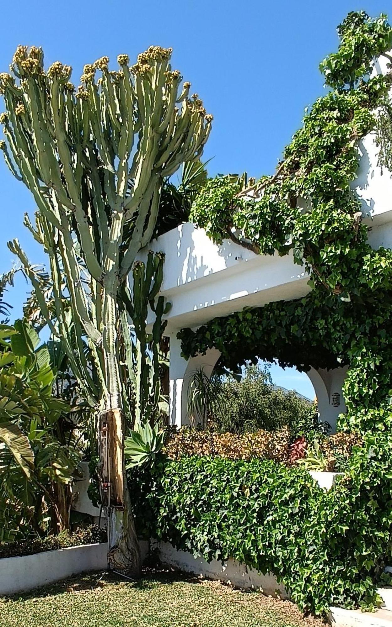 מארבלה Villa Tortuga מראה חיצוני תמונה